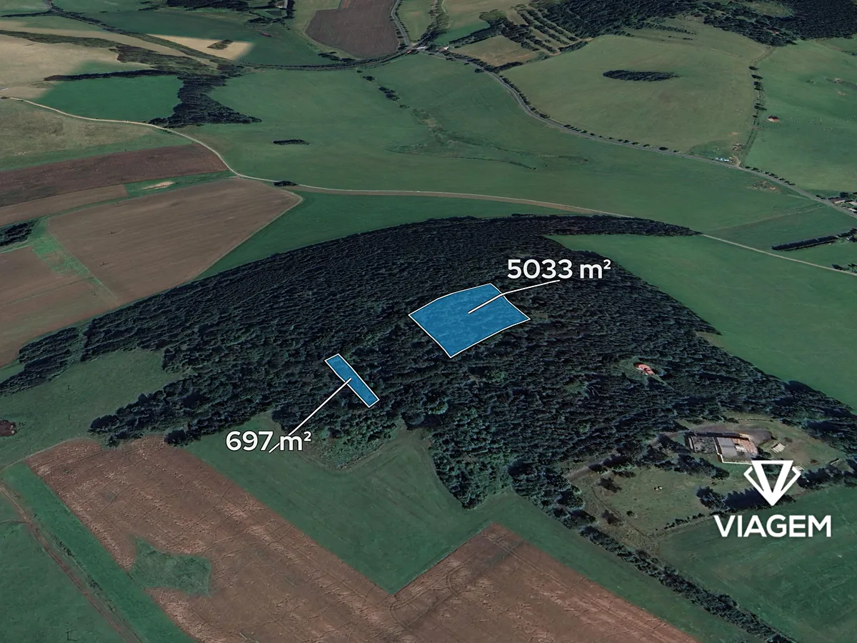 Prodej lesa 5730 m²